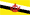 Brunei basketball
